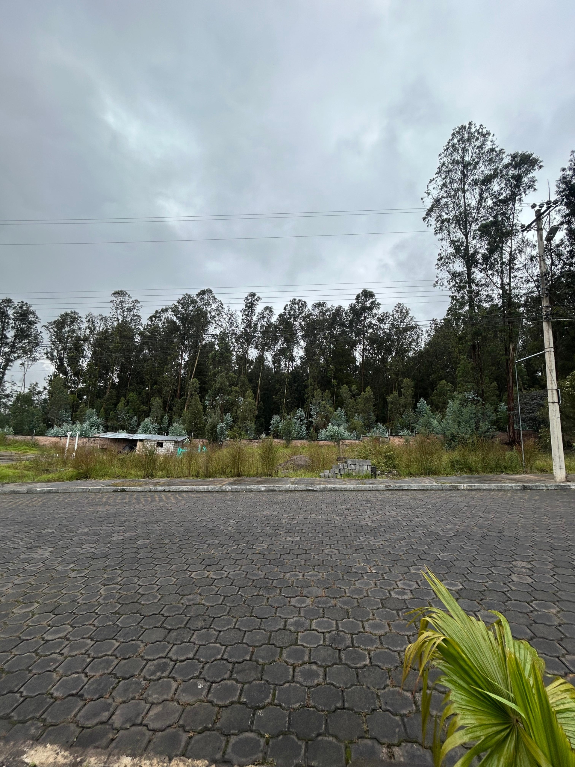 Copia de IMG-20260122-WA0058
